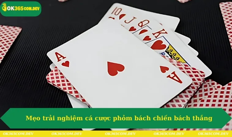 Cách Chơi Phỏm Chi Tiết A - Z Cho Người Mới Hot 2025 303 Mẹo trải nghiệm cá cược phỏm bách chiến bách thắng