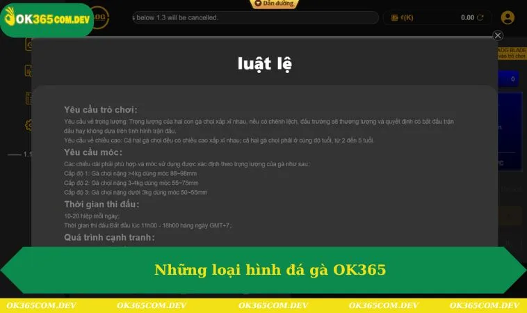 Đá Gà OK365 291 Những loại hình đá gà OK365