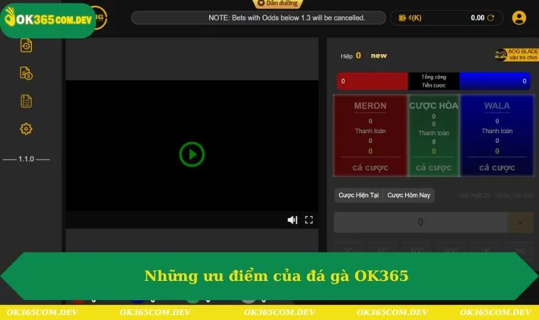 Đá Gà OK365 291 Những ưu điểm của đá gà OK365